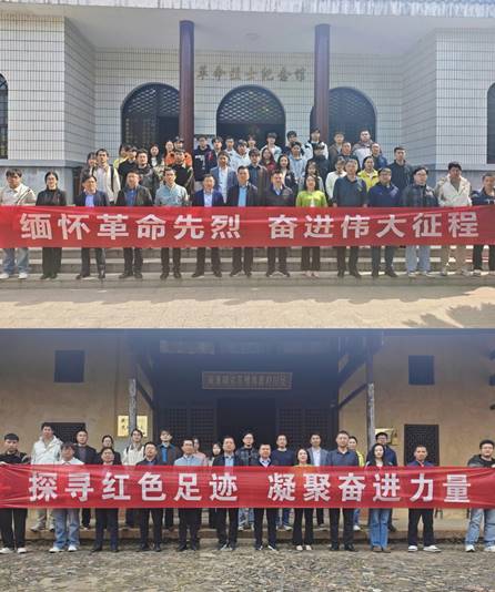 0ddcd6d787ba6028678b27efa6226843