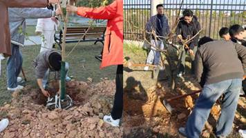 bc6a0fd86a2e7973b9c0cc70756d62ee