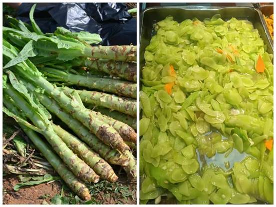 d5e19346fe229adf982c13cd0d28041f